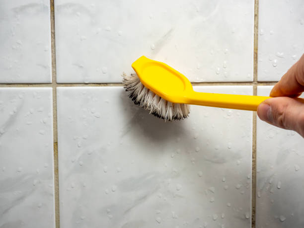 Best Emergency Mold Remediation in Belford, NJ