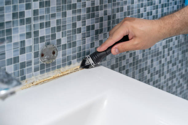 Best Localized Mold Remediation (e.g., coastal areas, humid climates) in Belford, NJ