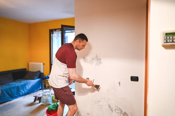 Best Insurance-Related Mold Remediation in Belford, NJ